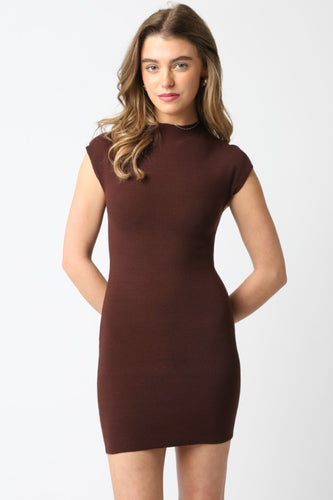 Brown Slvls Knit Dress