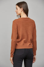 Load image into Gallery viewer, Brown Horse Embroidered Sweater