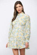 Load image into Gallery viewer, Light Grey Lemon + Floral Lace Trim Dress