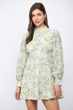 Load image into Gallery viewer, Light Grey Lemon + Floral Lace Trim Dress