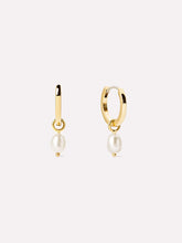 Load image into Gallery viewer, Ana Luisa Pearl Huggie Hoops- Frida