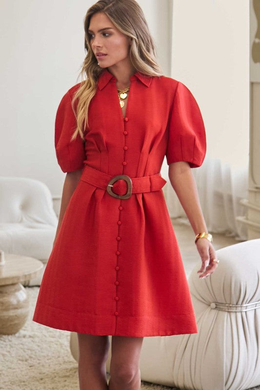 Amber Button Down Dress w/ Belt