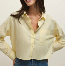 Load image into Gallery viewer, Z Supply Pineapple Lisette Top