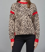 Load image into Gallery viewer, Back V Red Trim Leopard Sweater