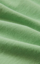 Load image into Gallery viewer, Z Supply Pistachio Birdie Short