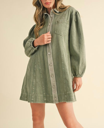 Ash Olive Color Contrast LS Dress