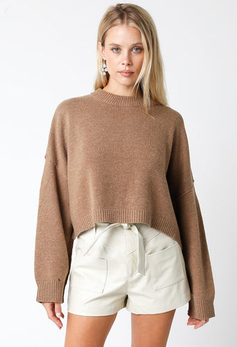 Crew Neck Knit Basic Sweater Mocha