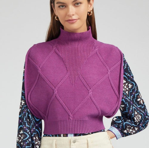 Berry Slvls Turtleneck Sweater Top